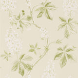 Chestnut Tree - 215707