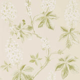 Chestnut Tree - 215707