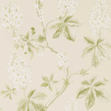 Chestnut Tree - 215707