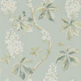 Chestnut Tree - 215708