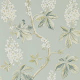 Chestnut Tree - 215708