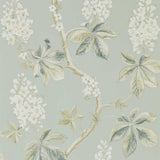 Chestnut Tree - 215708