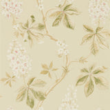 Chestnut Tree - 215709
