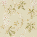 Chestnut Tree - 215709