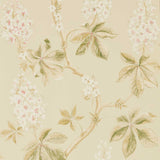 Chestnut Tree - 215709
