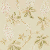 Chestnut Tree - 215709