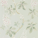 Chestnut Tree - 215710