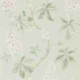 Chestnut Tree - 215710