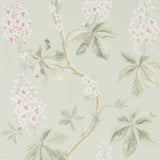 Chestnut Tree - 215710