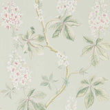 Chestnut Tree - 215710