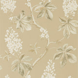 Chestnut Tree - 215711