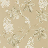 Chestnut Tree - 215711