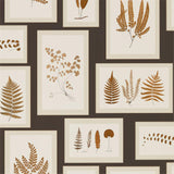 Fern Gallery - 215713