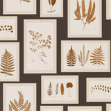 Fern Gallery - 215713