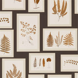 Fern Gallery - 215713