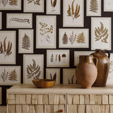 Fern Gallery - 215714