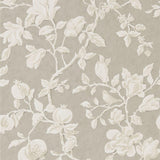 Magnolia & Pomegranate - 215722