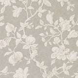 Magnolia & Pomegranate - 215722