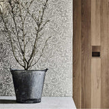Pure Acorn - 216033