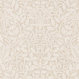 Pure Acorn - 216040