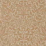 Pure Acorn - 216041