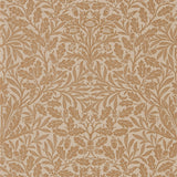 Pure Acorn - 216041