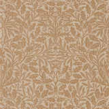 Pure Acorn - 216041