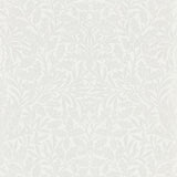 Pure Acorn - 216043