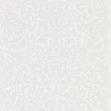 Pure Acorn - 216043