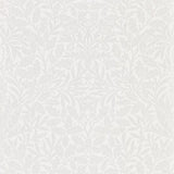 Pure Acorn - 216043
