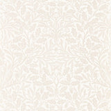 Pure Acorn - 216044