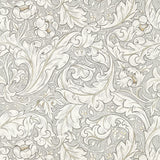 Pure Bachelors Button - 216050