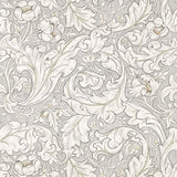 Pure Bachelors Button - 216050