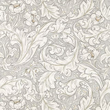 Pure Bachelors Button - 216050