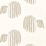 Bay Willow - 216271