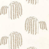 Bay Willow - 216271