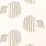 Bay Willow - 216271