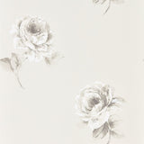 Rosa - 216276