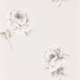 Rosa - 216276