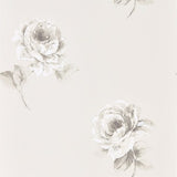 Rosa - 216276