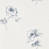 Rosa - 216277