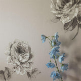Rosa - 216277