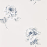 Rosa - 216277