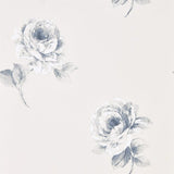 Rosa - 216277