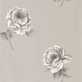 Rosa - 216279