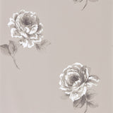 Rosa - 216279