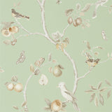 Fruit Aviary - 216311