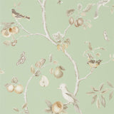 Fruit Aviary - 216311