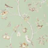 Fruit Aviary - 216311