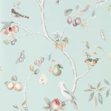 Fruit Aviary - 216312